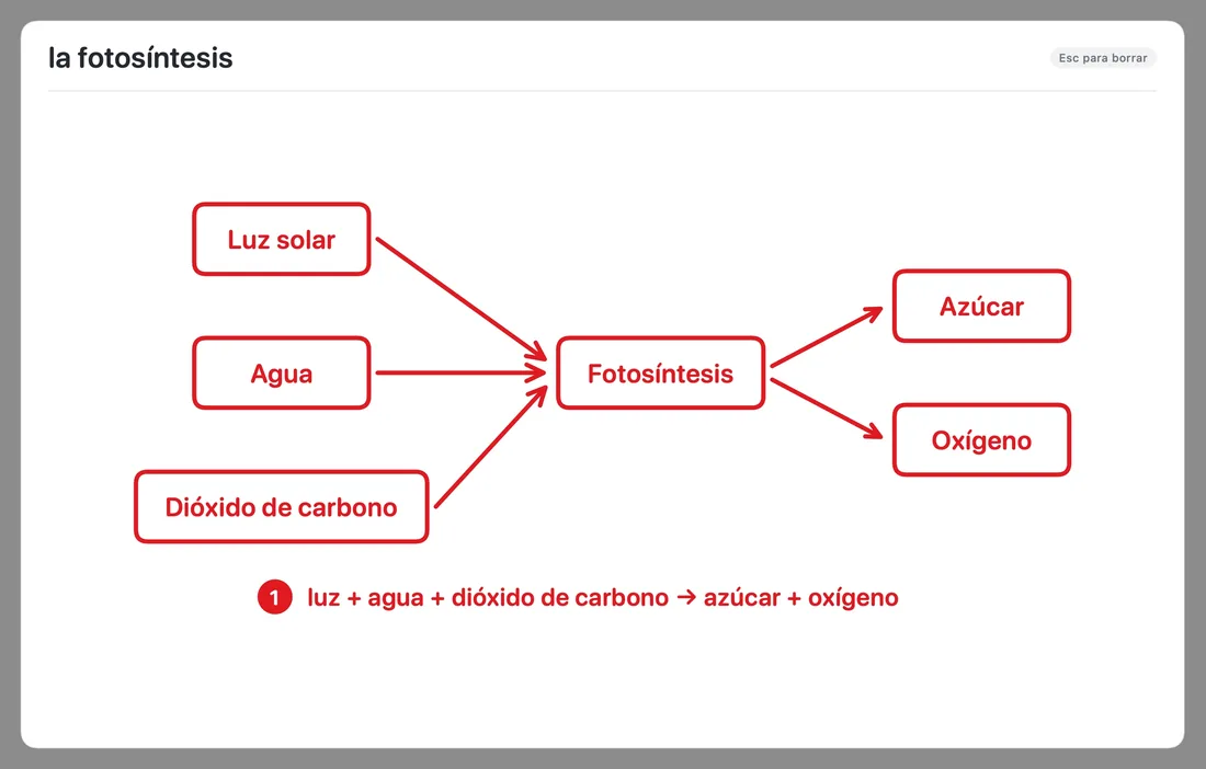 Pizarra de Beni: Fotosíntesis
